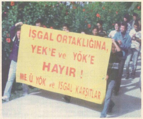 sayi29a