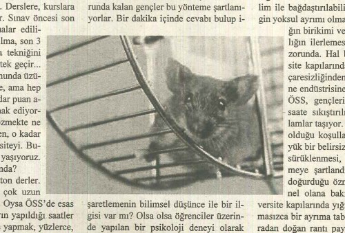 sayi50