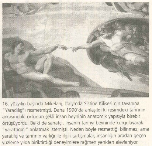 sayi64a