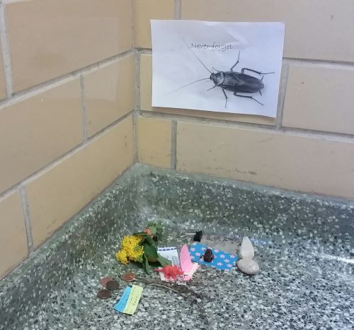 roach3.jpg
