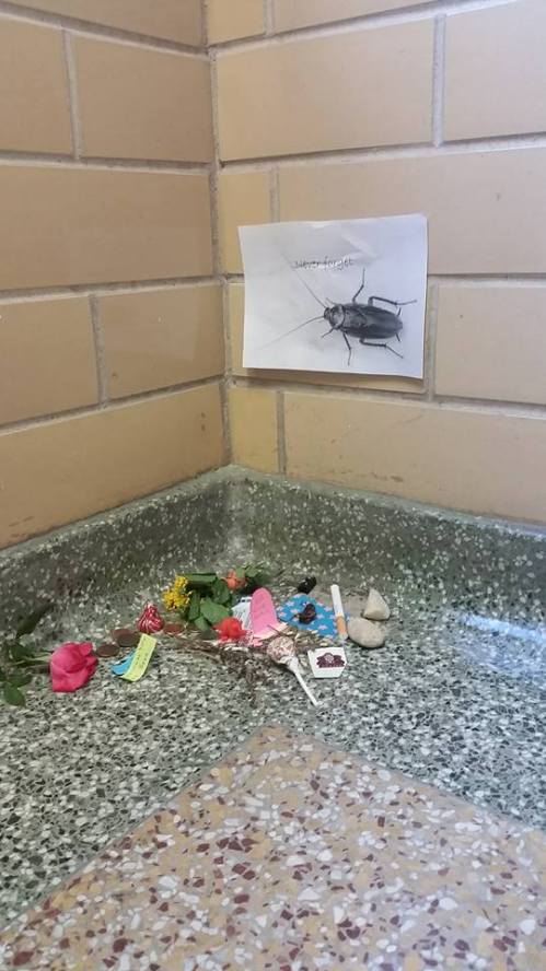 roach4.jpg