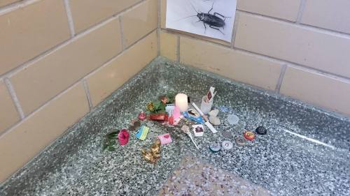roach5.jpg