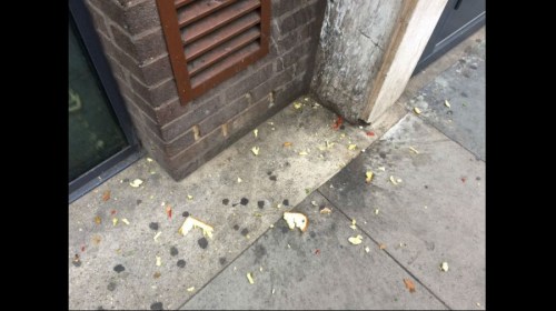 exploded-pesto-sandwich-credit-nfkadam