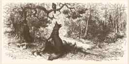 foxcrow