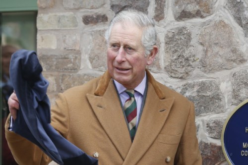 tmp_19466-prince-charles-289664459.jpg