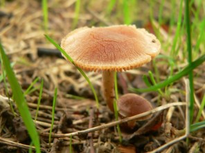 P1060226