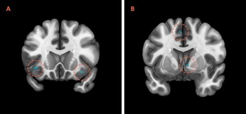 tmp_2986-28mag-28analysis-t_CA0-articleLarge-1685148068