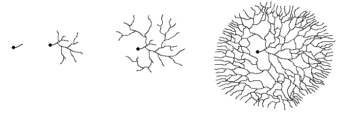 myceliumg
