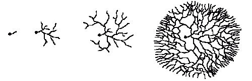 myceliumg