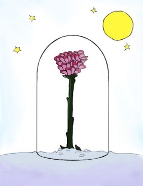 rose