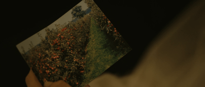 vlcsnap-2021-11-10-22h49m56s989