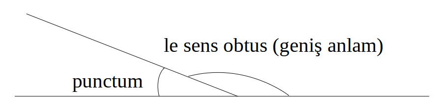 obtus