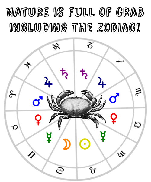 zodi