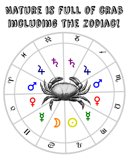 zodi