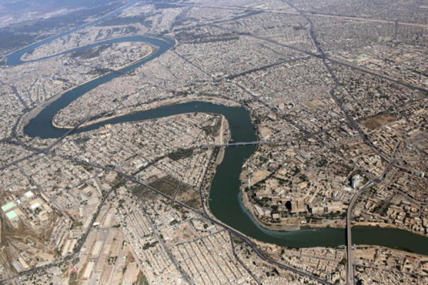 tigris