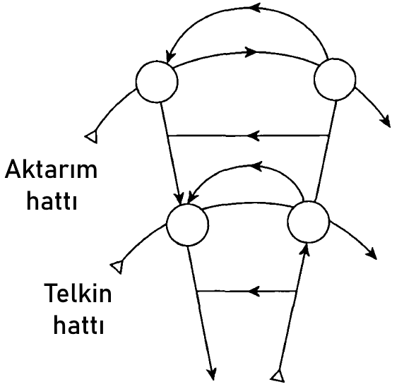 hatlar