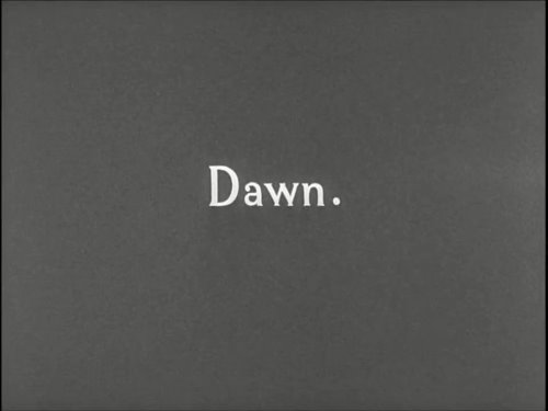 dawn1